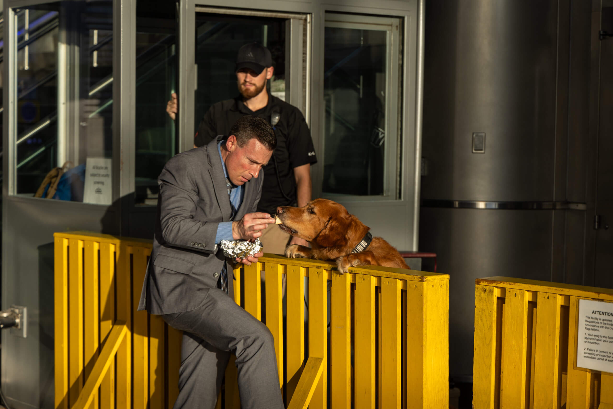 A humorous photo of a businessman in a suit feeding a dog at the port, waiting for the Staten Island ferry, capturing an amusing moment in the bustling city