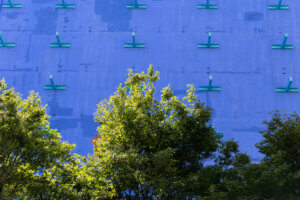 A vibrant photo of a bold blue wall in New York, contrasted by lush green trees in the foreground, creating a striking visual balance